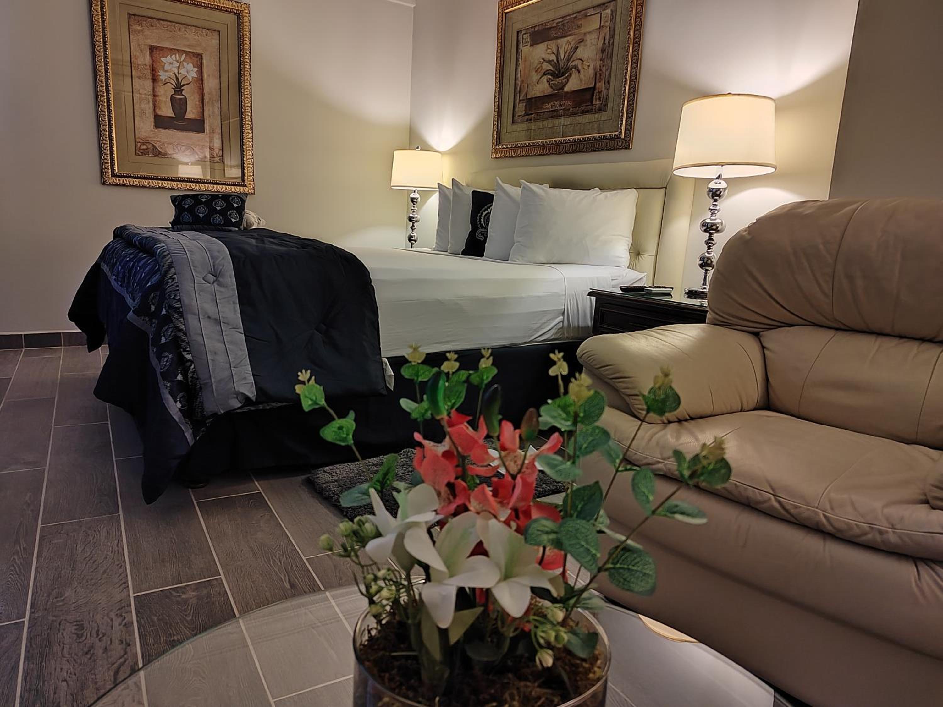Suite photo 3