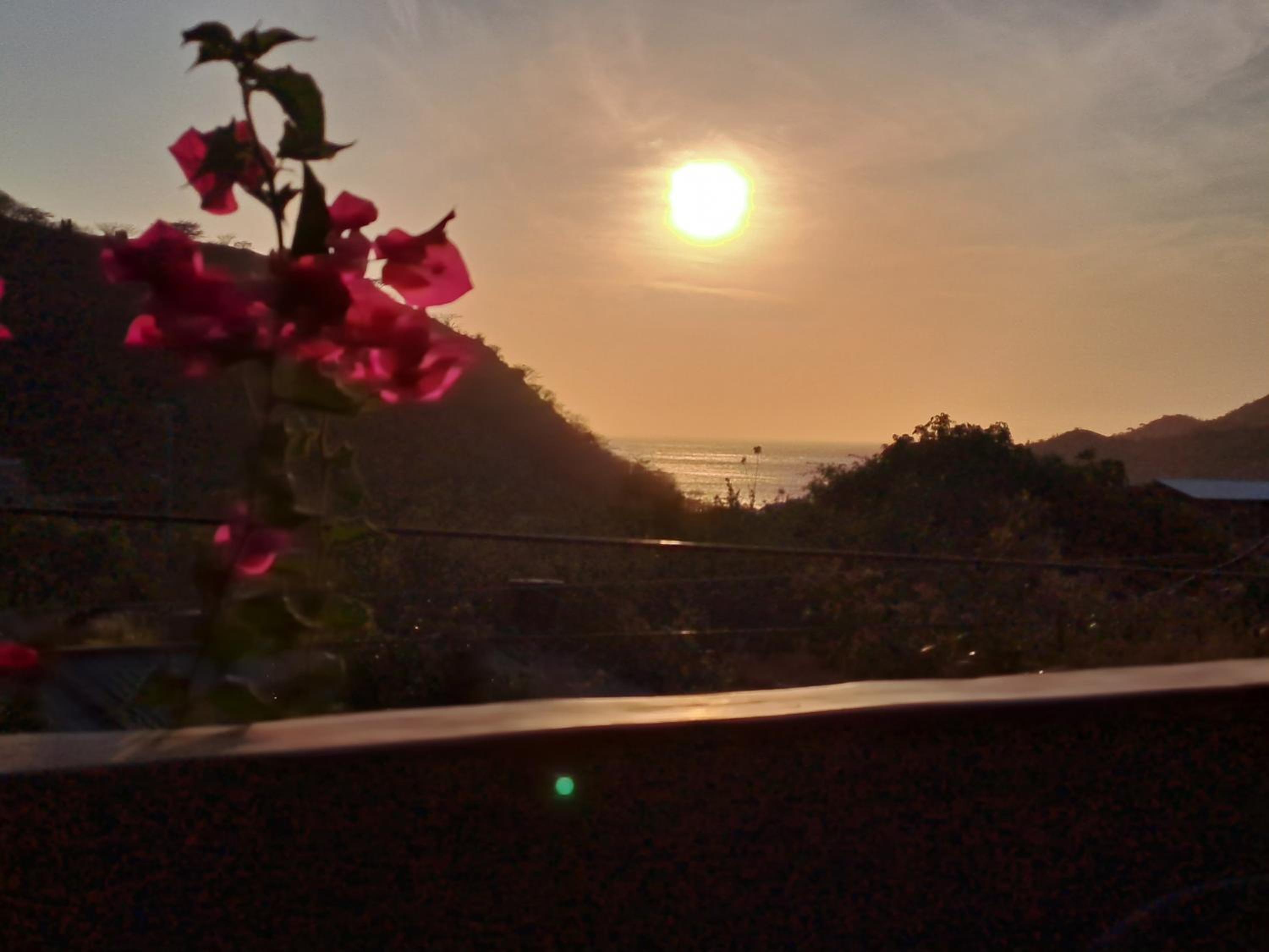 Suite with Sea View photo 3