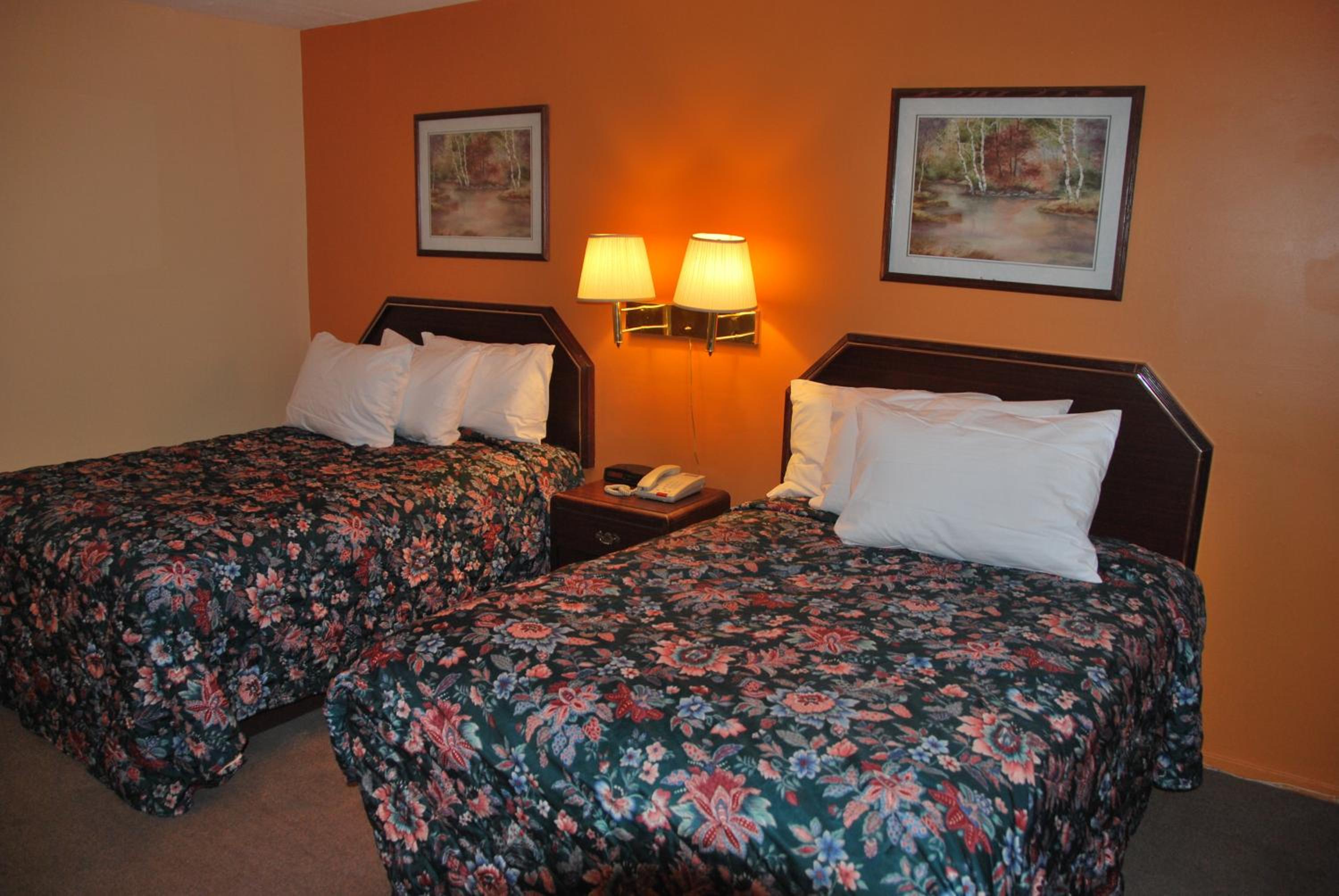 Double Room - Disability Access photo 1