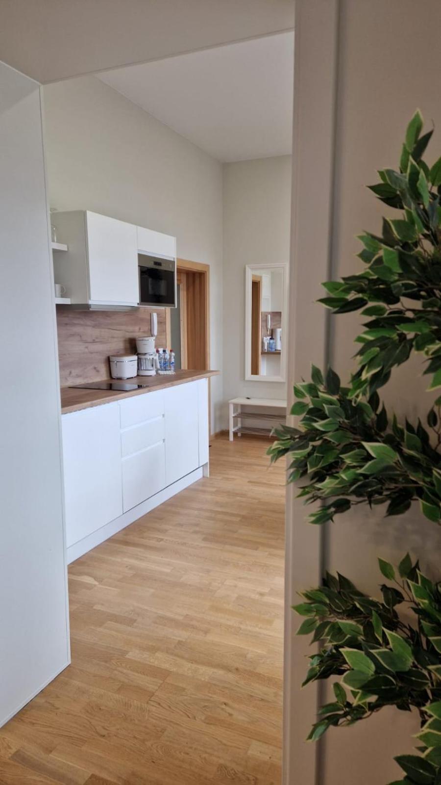 One-Bedroom Apartment - Photo 9
