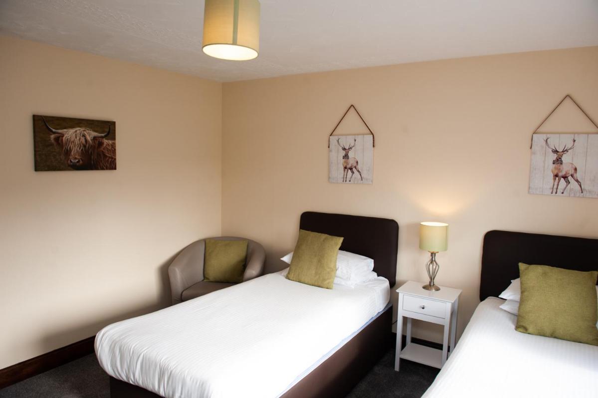 Twin Room photo 2