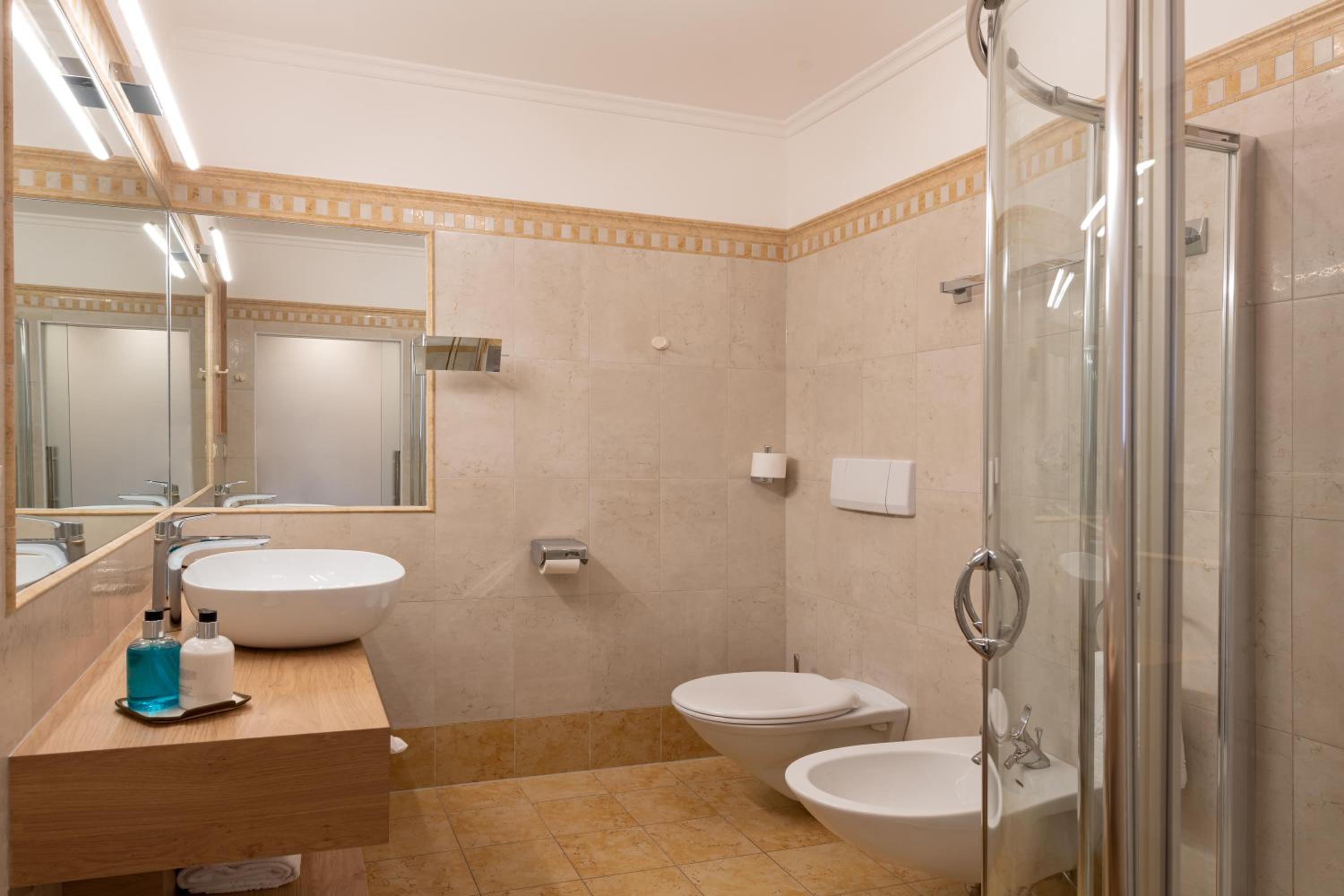 Deluxe Double or Twin Room photo 2
