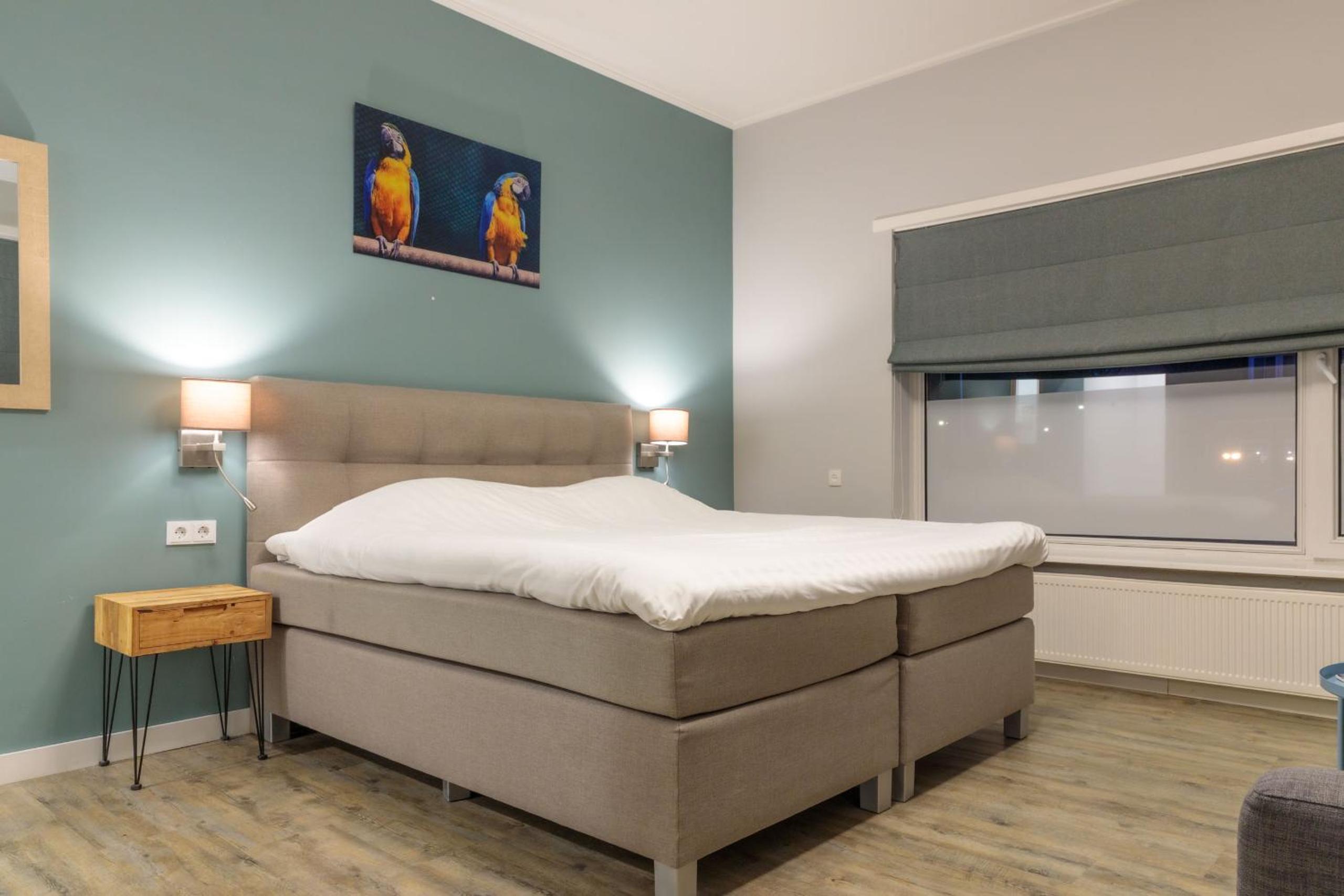 Comfort Plus Room photo 1