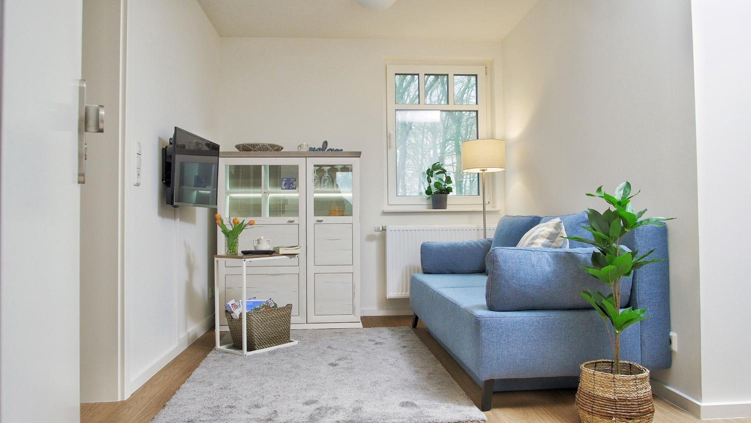 Superior One-Bedroom Apartment