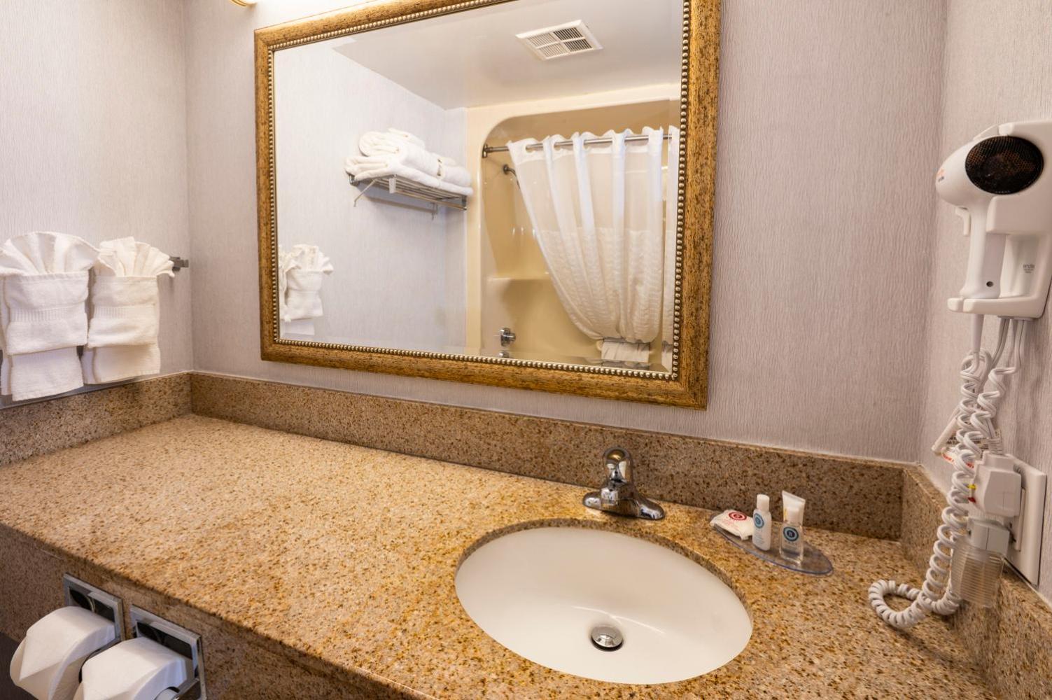 King Room - Non-Smoking - Photo 4