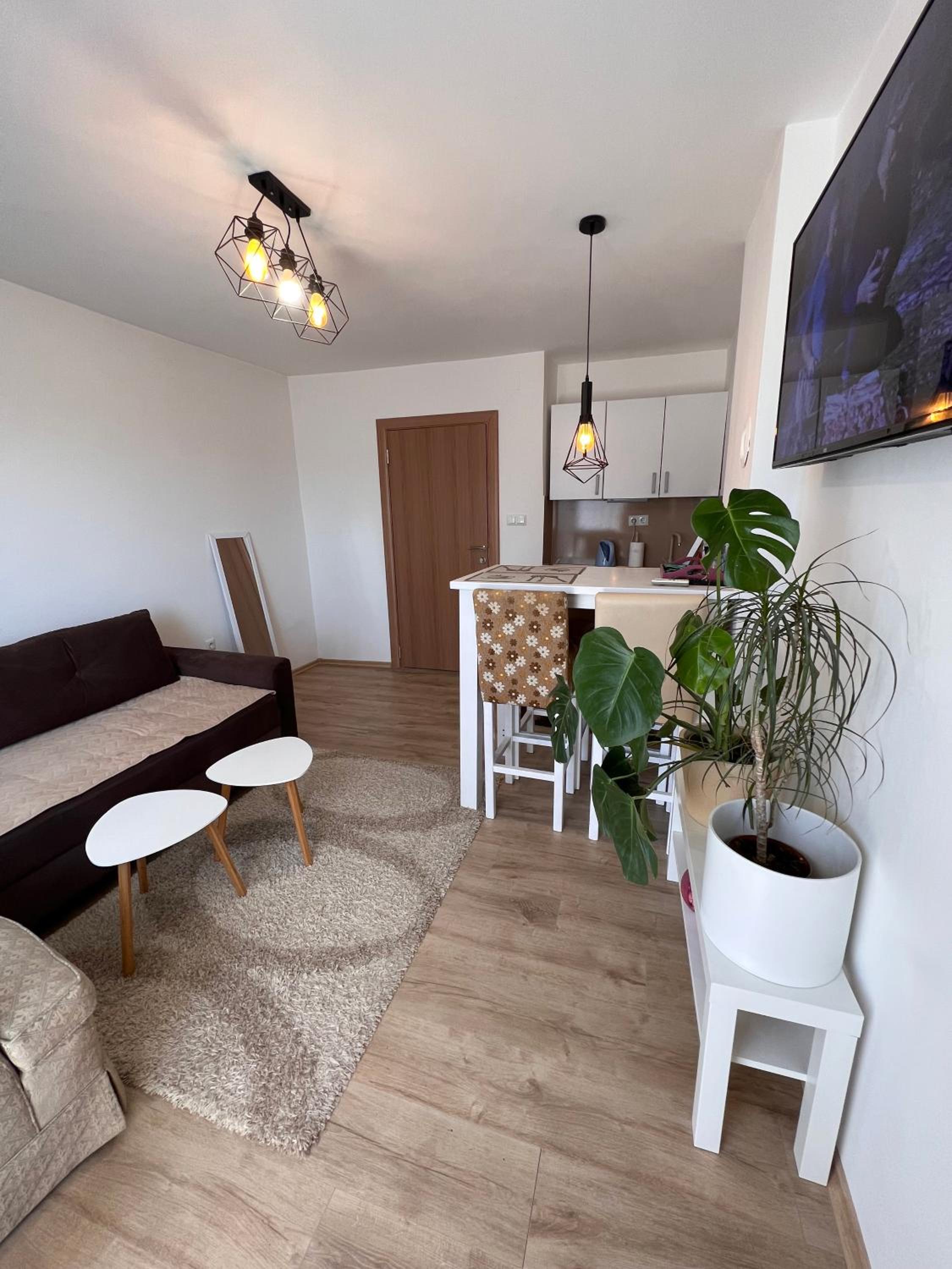 Apartment with Terrace photo 2