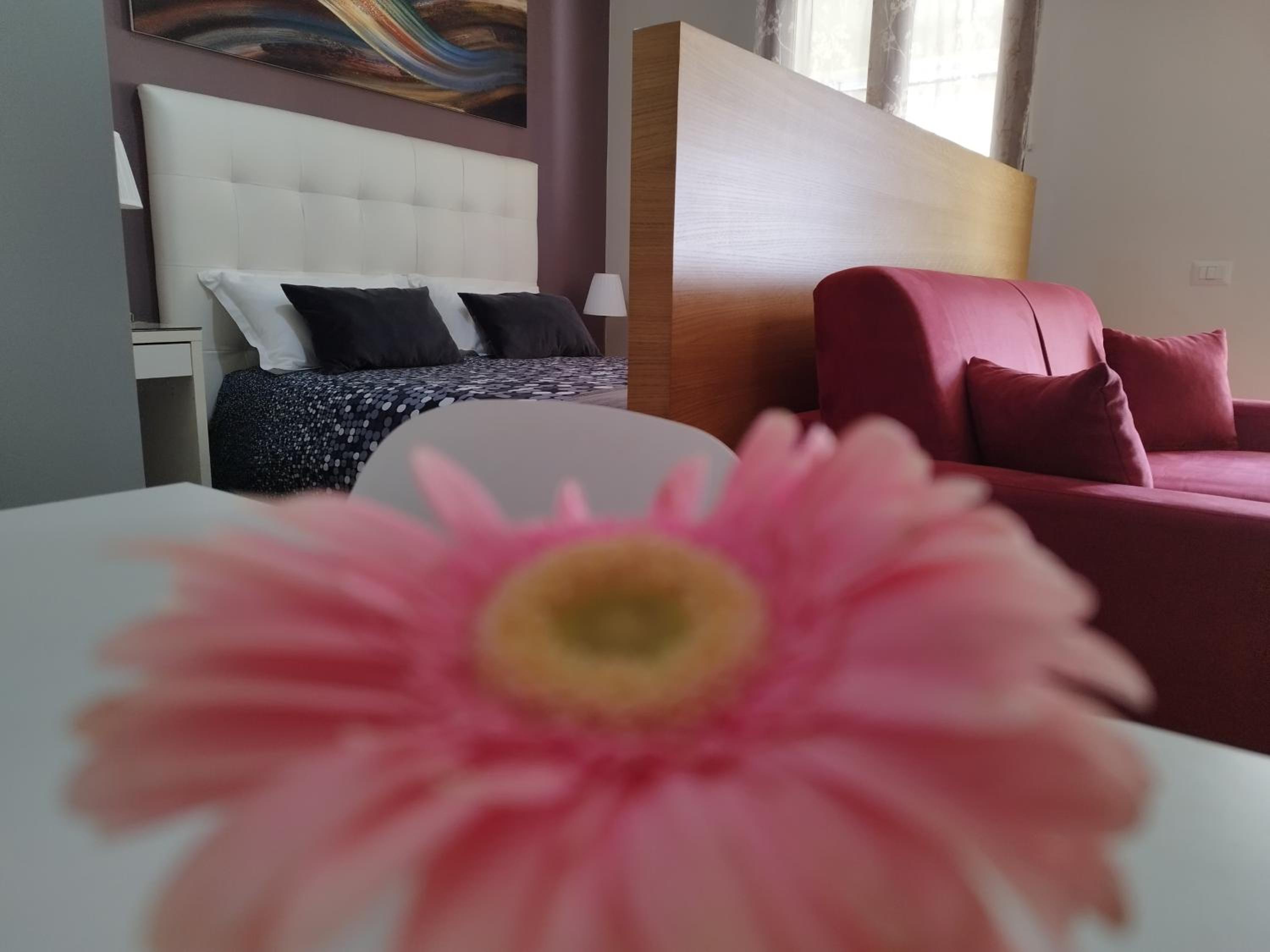 Studio Apartment - Photo 1