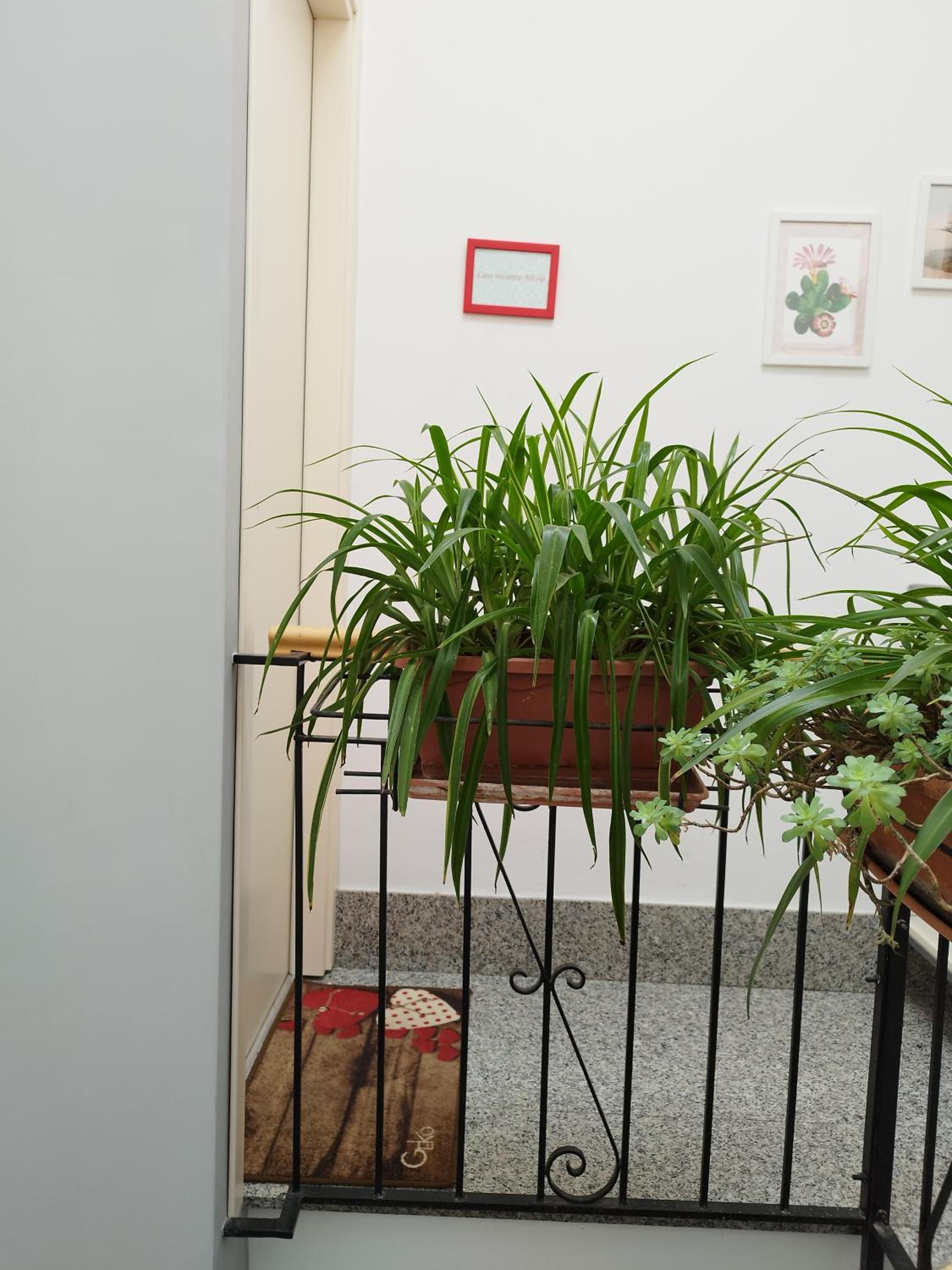Studio Apartment - Photo 18