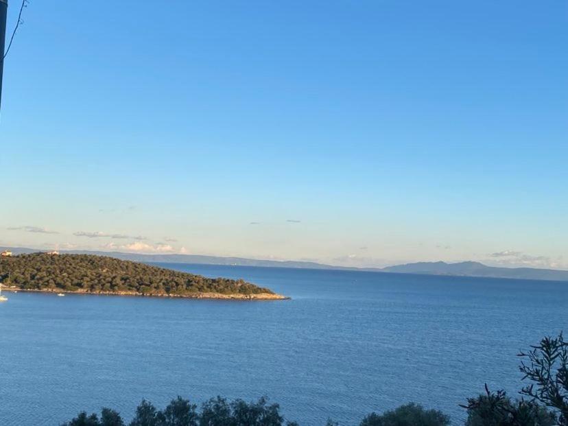 One-Bedroom Villa photo 3