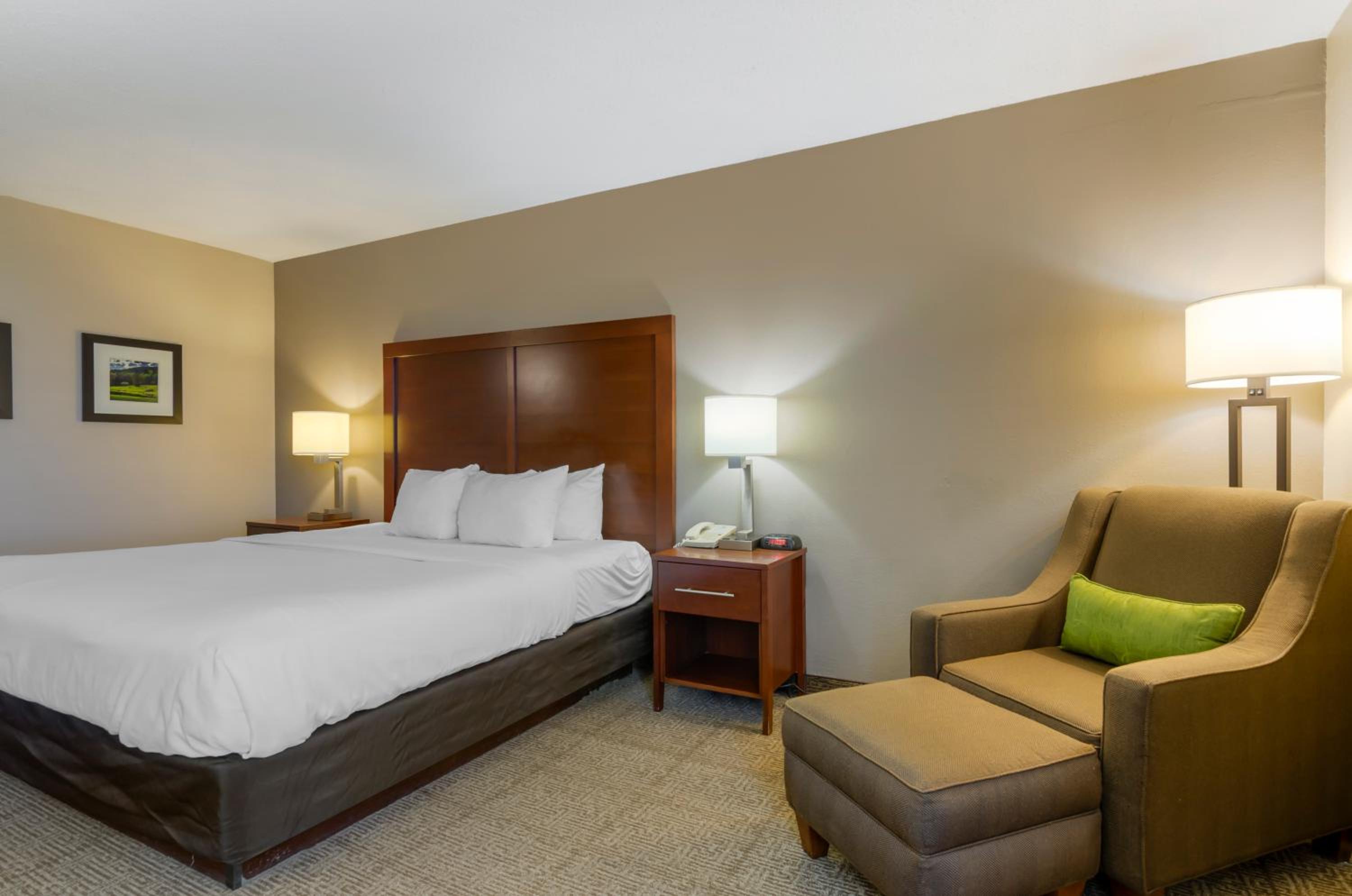 King Room - Non-Smoking - Photo 4