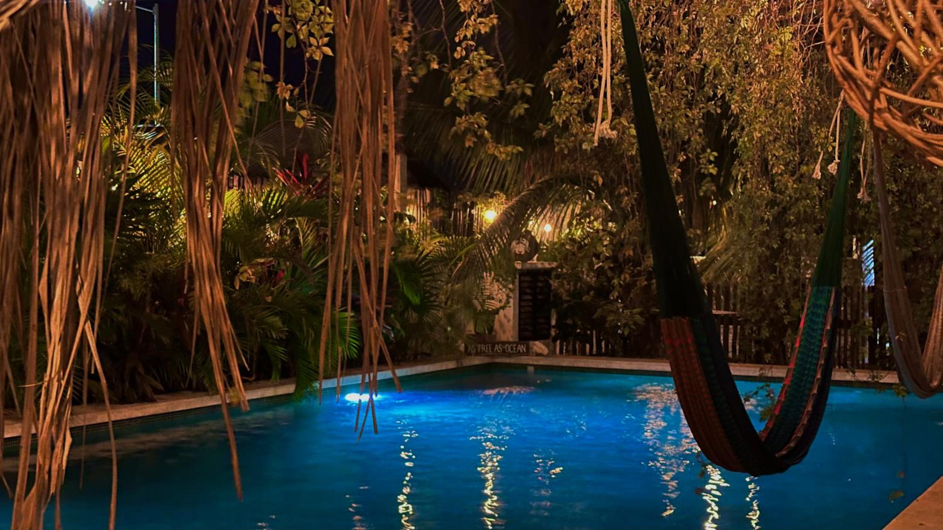 Twin Room with Pool View - Photo 33