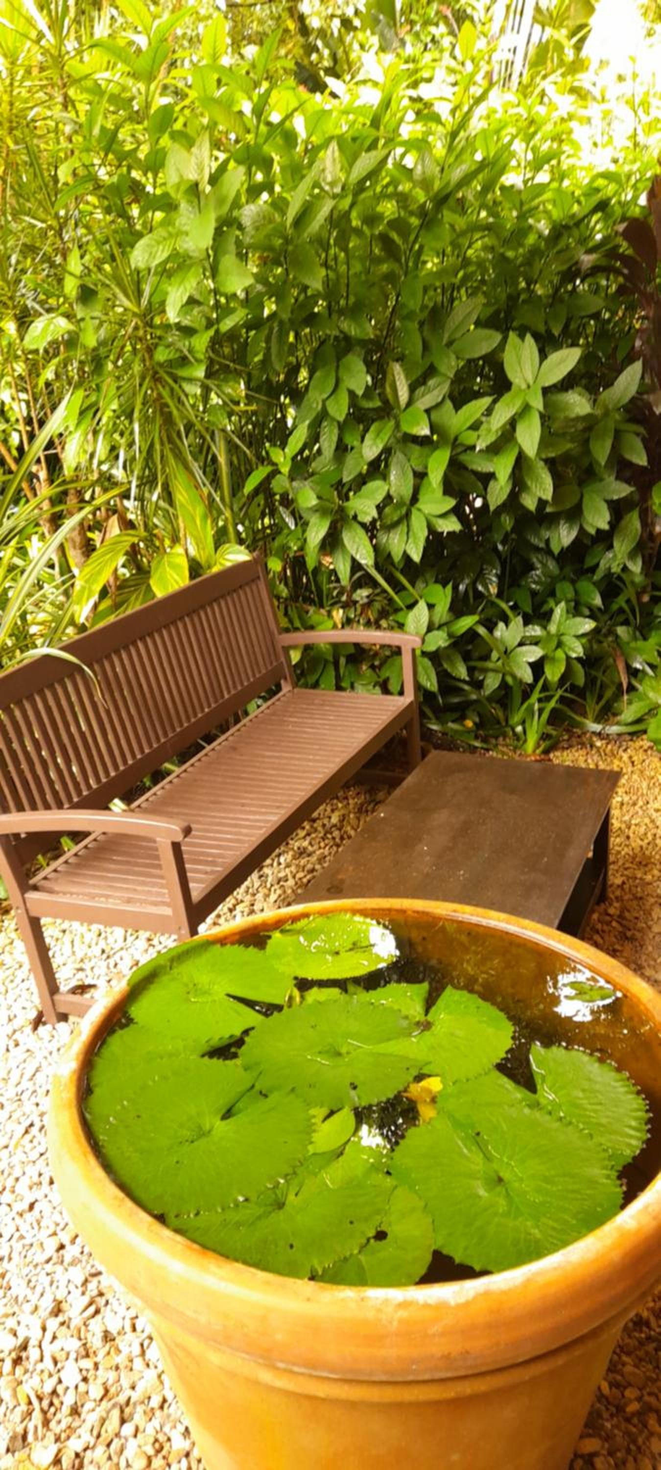 Garden Cottage - Photo 4