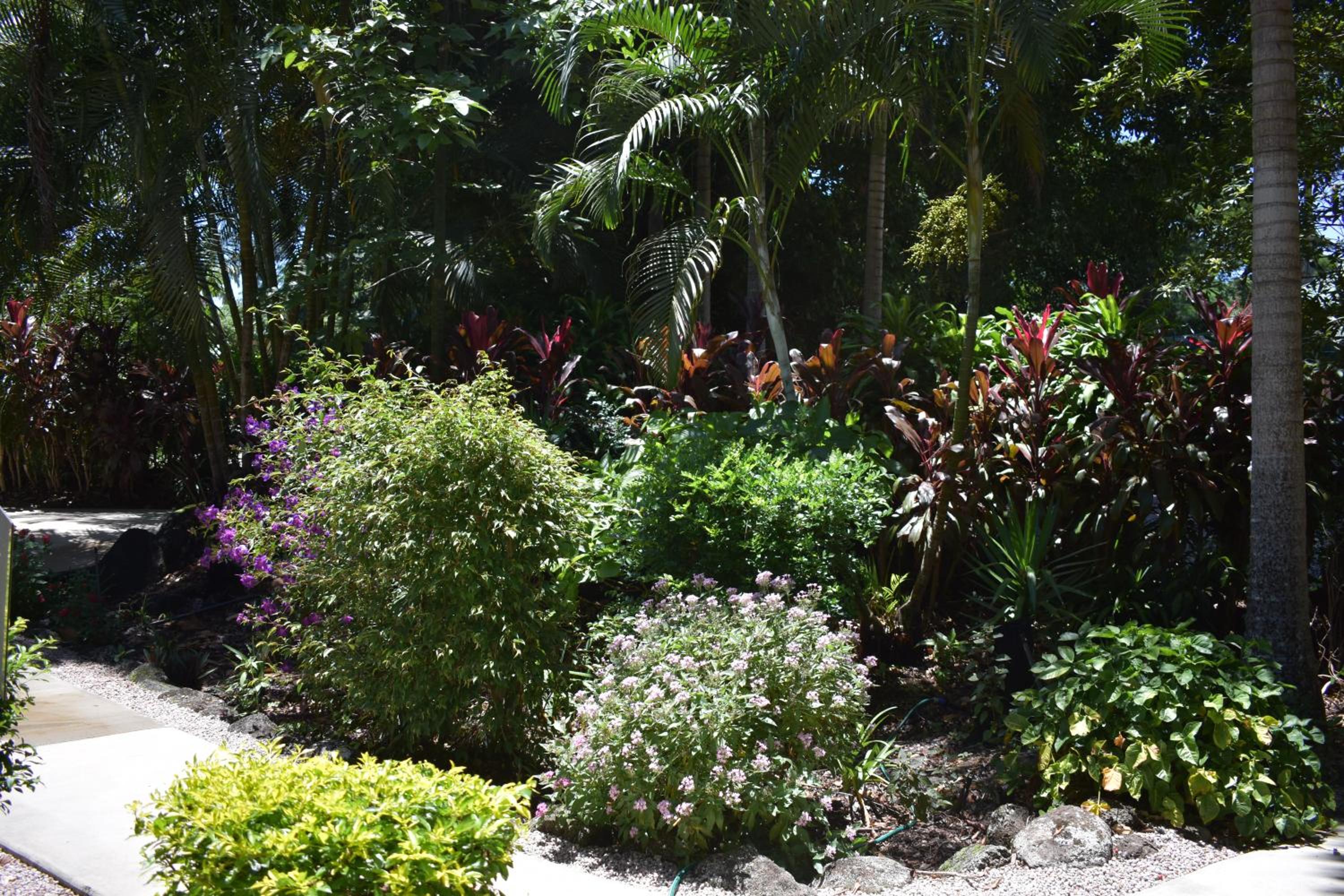 Garden Cottage - Photo 3