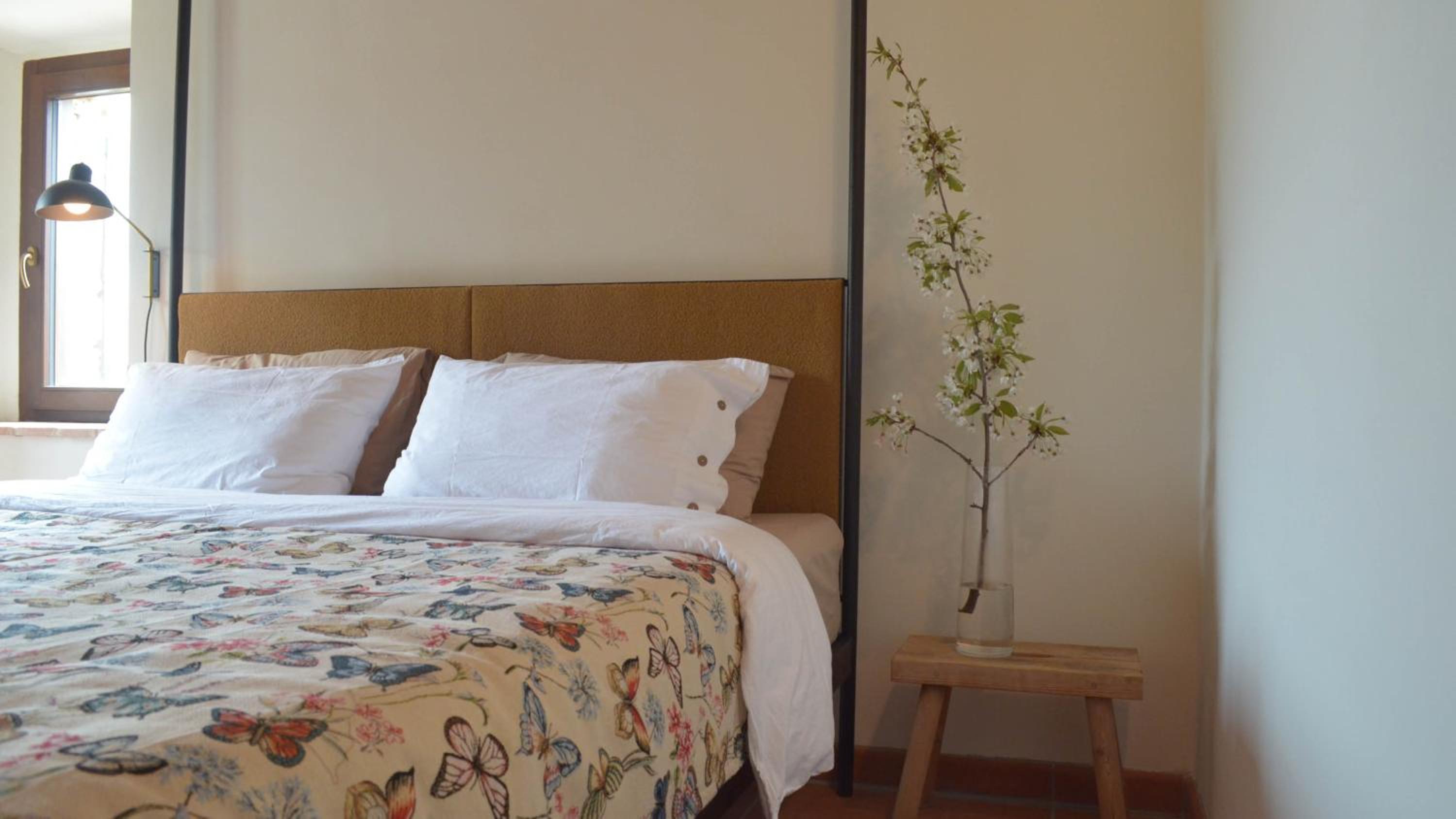 Suite with Mountain View photo 1
