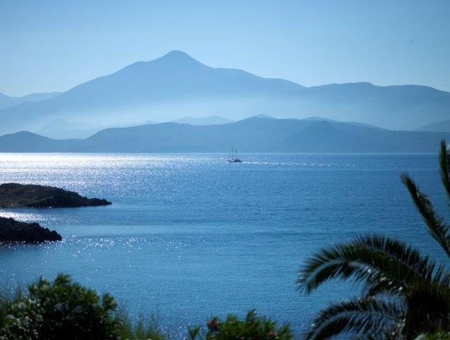 Special Offer - Bungalow with Sea View