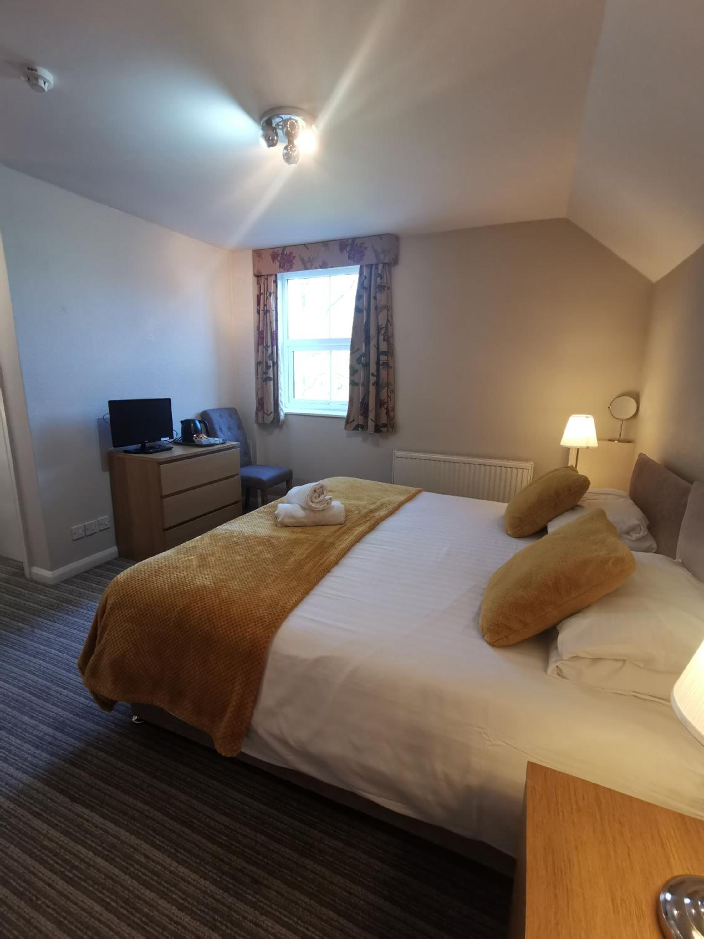 Family Room - King + 2 x Single Beds