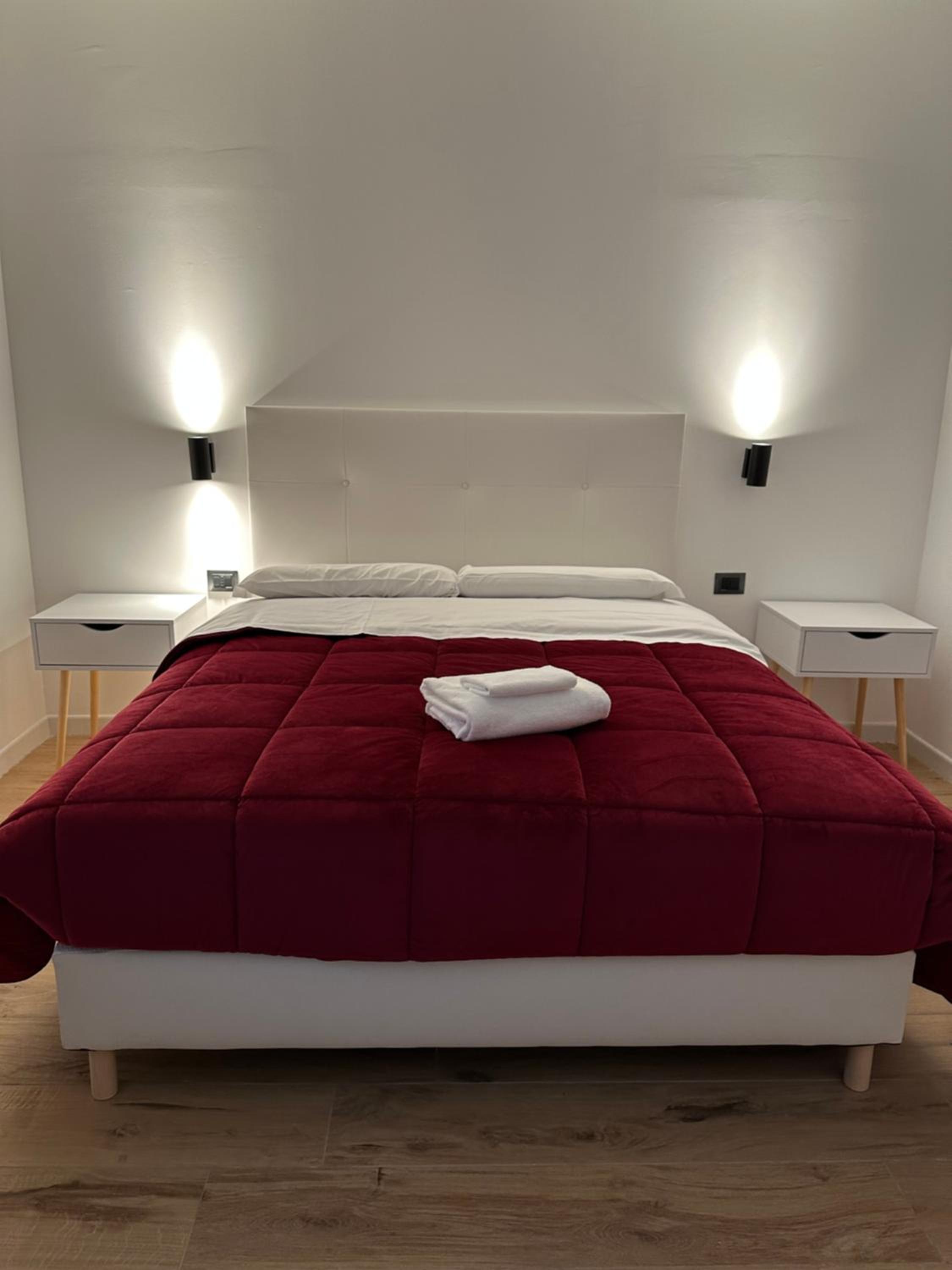 Deluxe Double Room photo 3