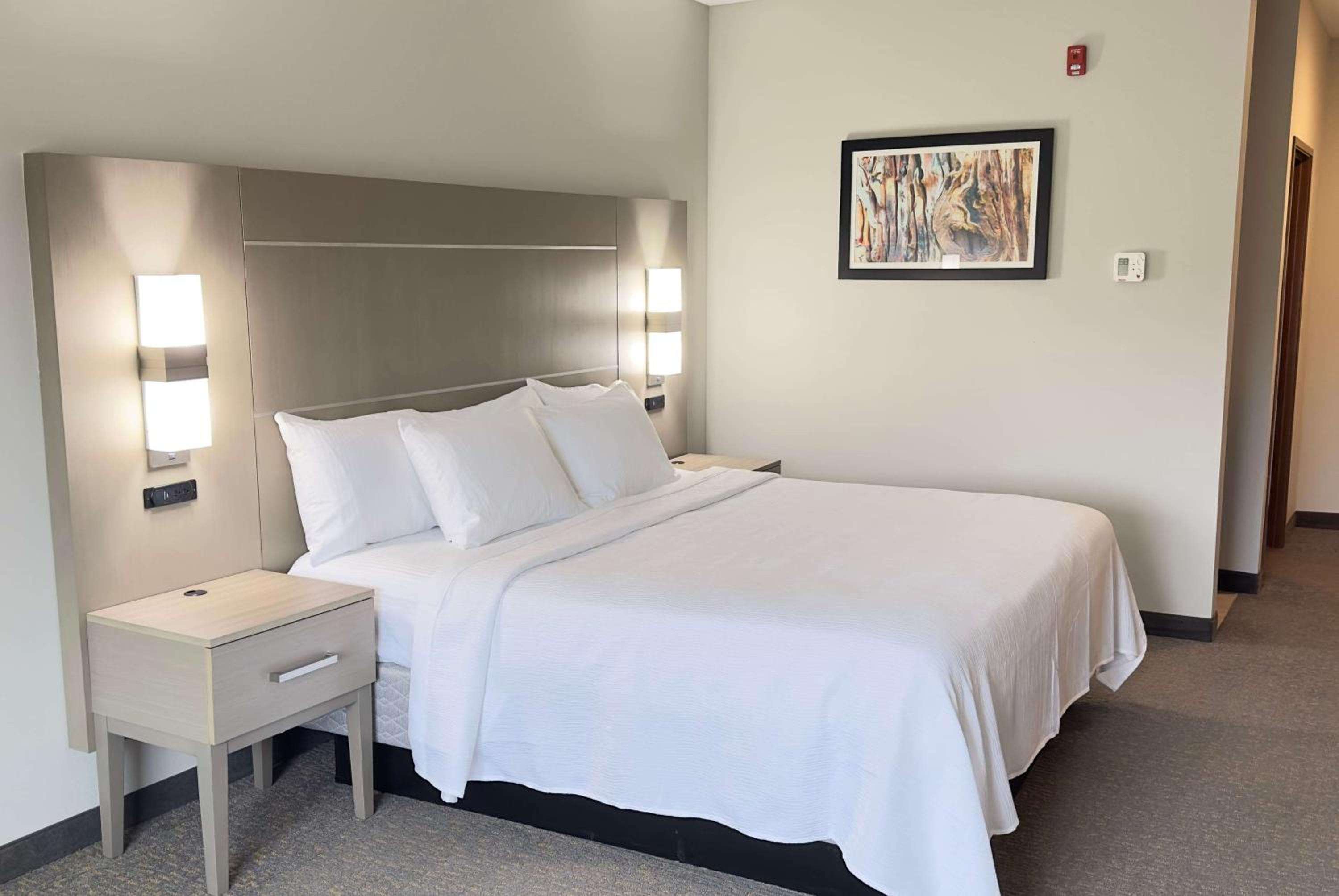 King Room with Mobility Access and Bathtub with Grab Bars, Non-Smoking - Photo 2