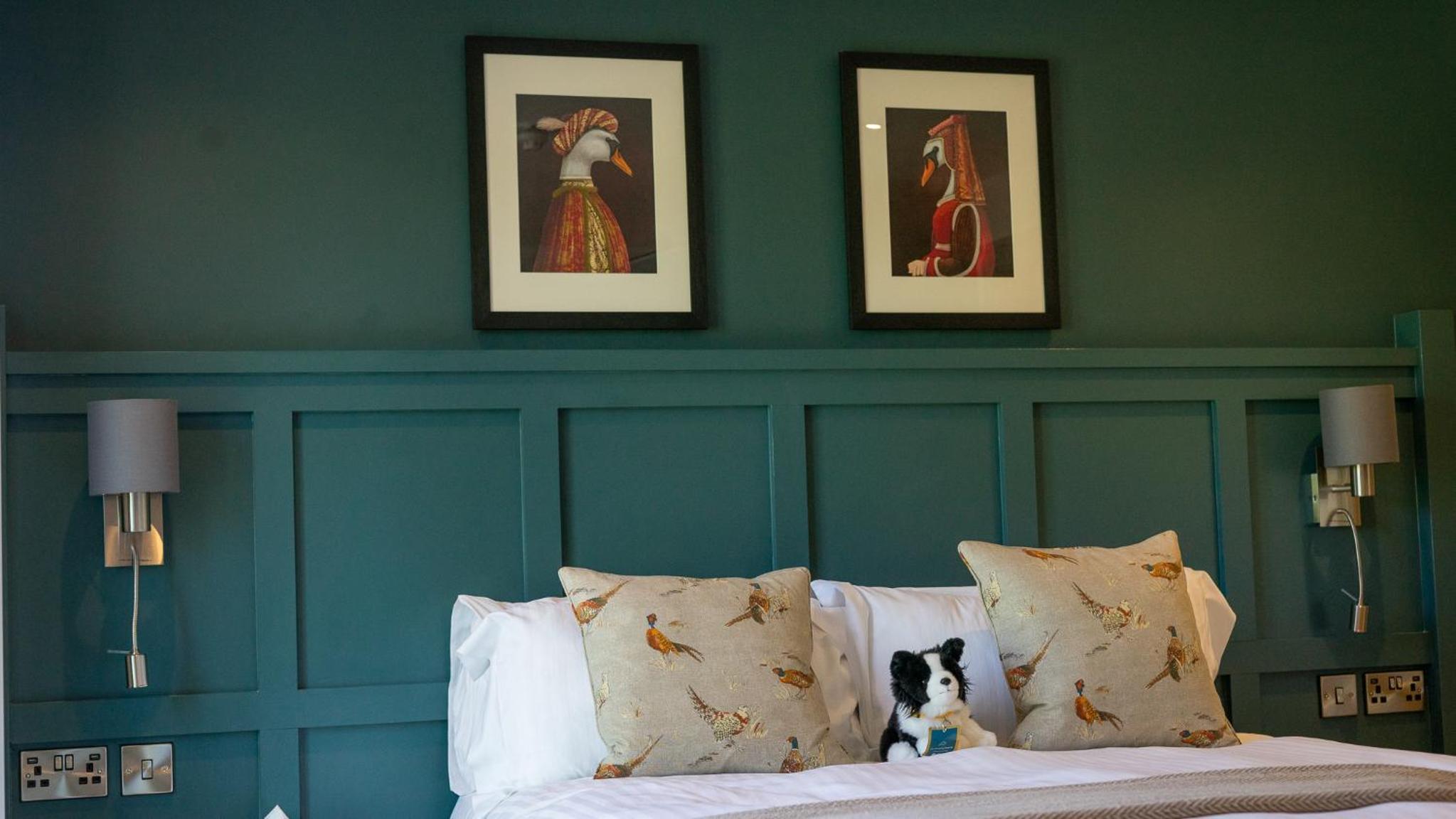 King Room photo 1