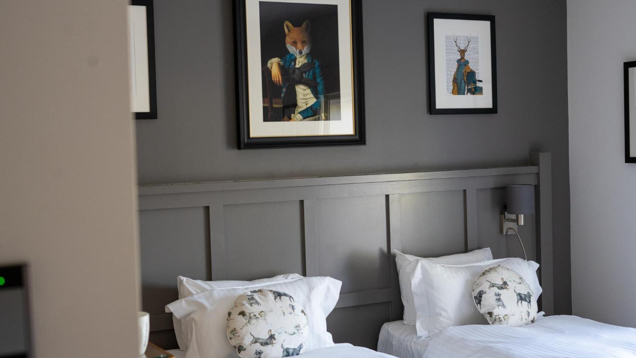 Deluxe Double or Twin Room photo 1