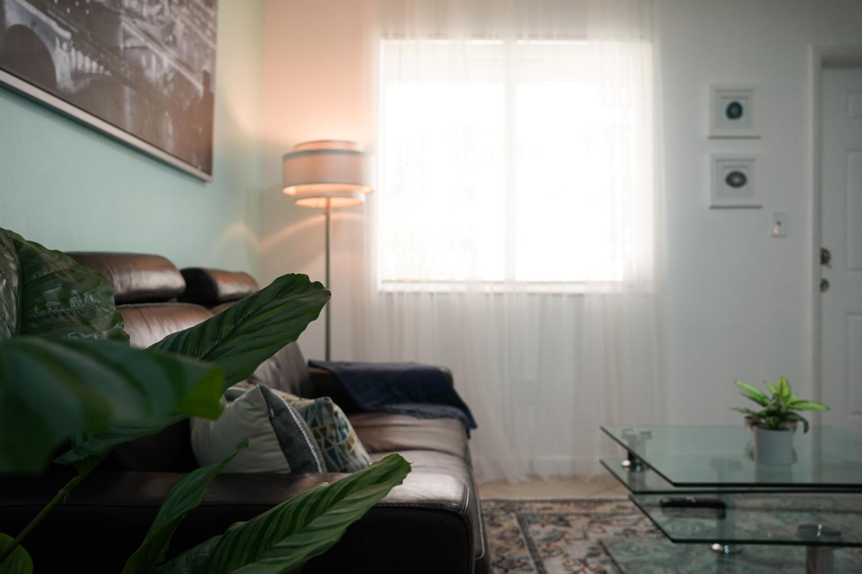 Apartment With Terrace photo 3