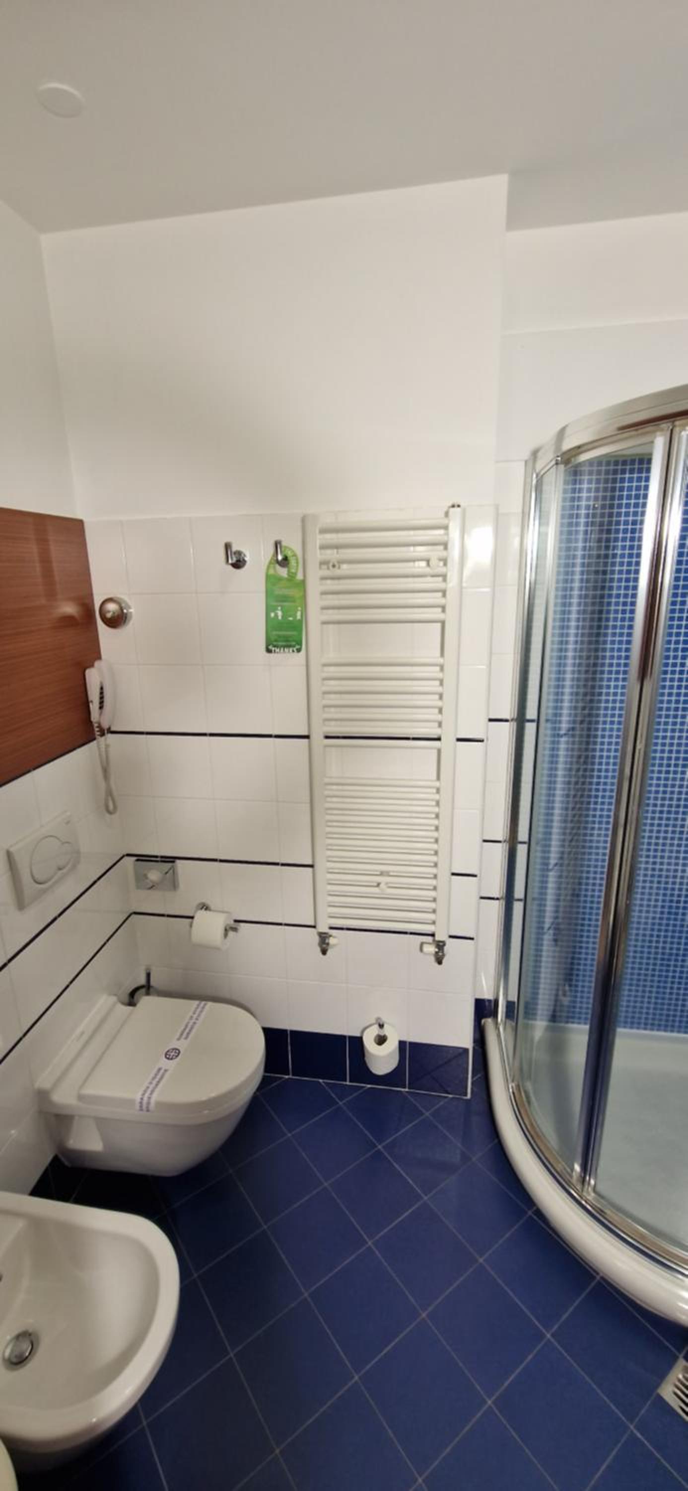 Large Junior Suite photo 3