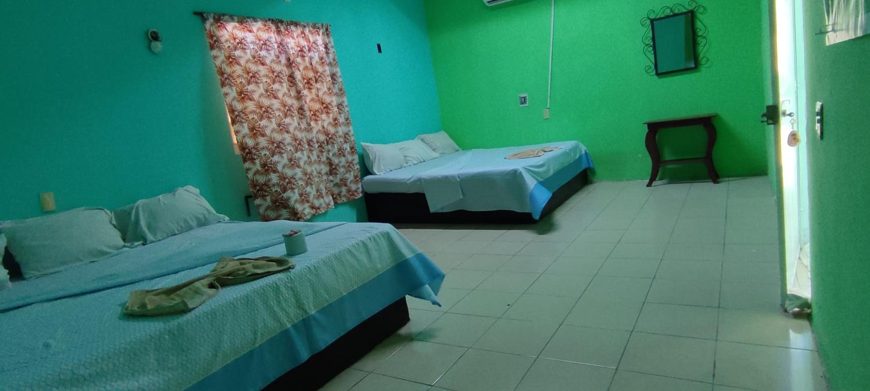 Twin Room photo 2