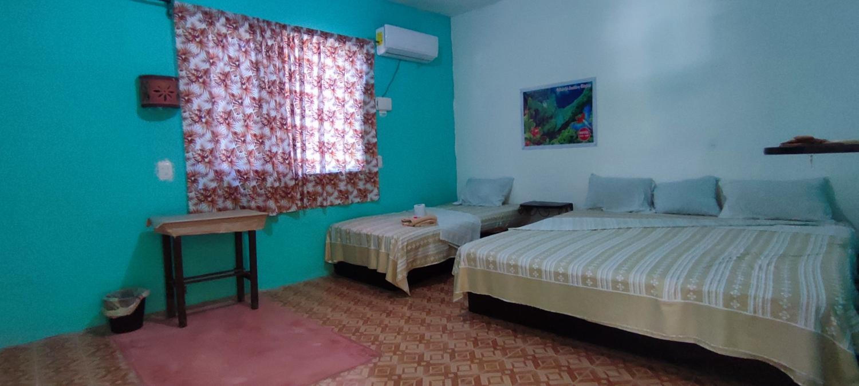 Twin Room photo 1