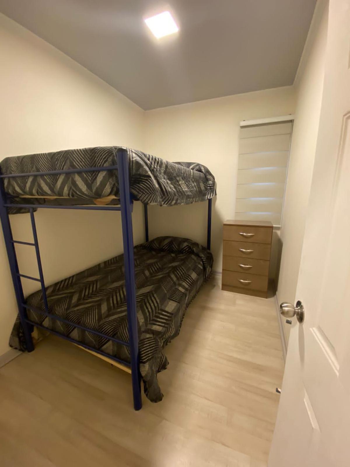 Standard Twin Room photo 1