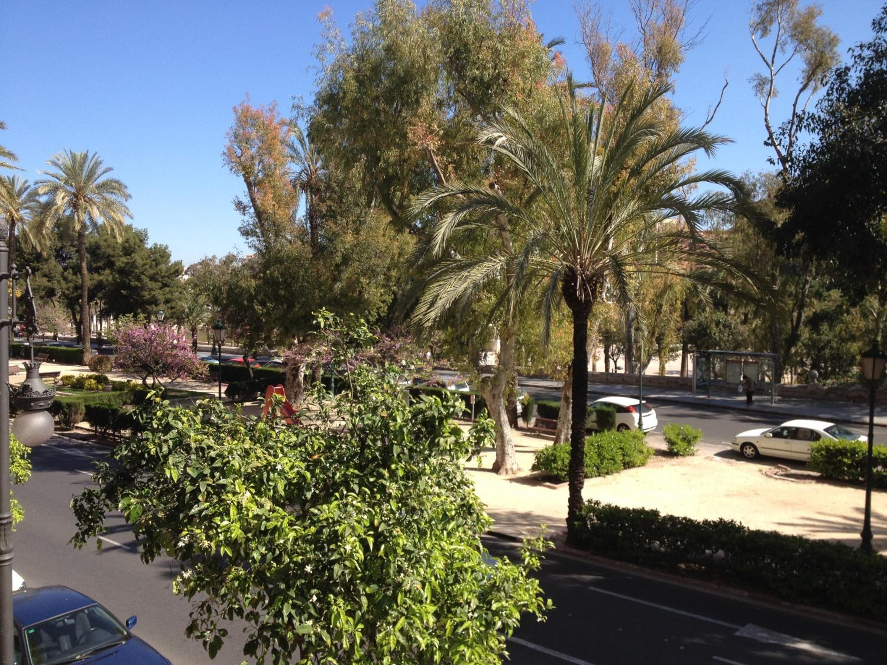 Superior Double Room with Views - Photo 19