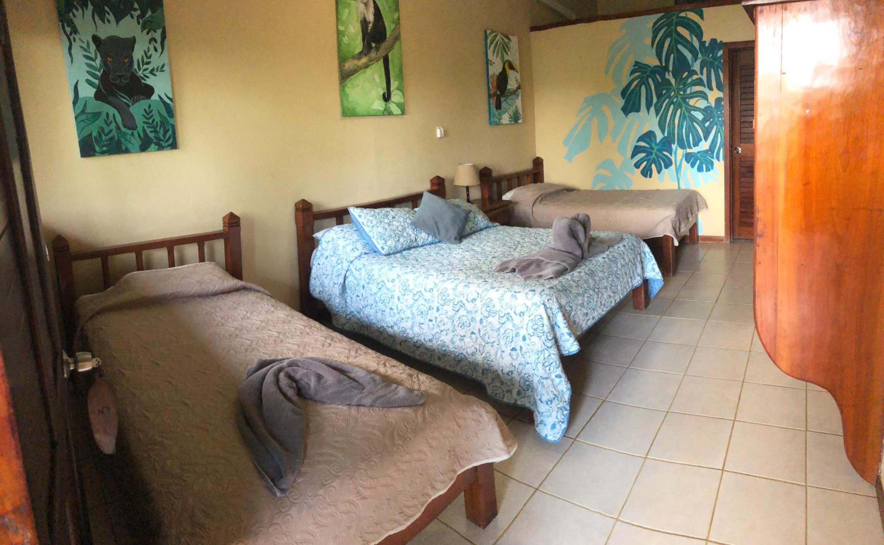 Superior Double Room photo 1