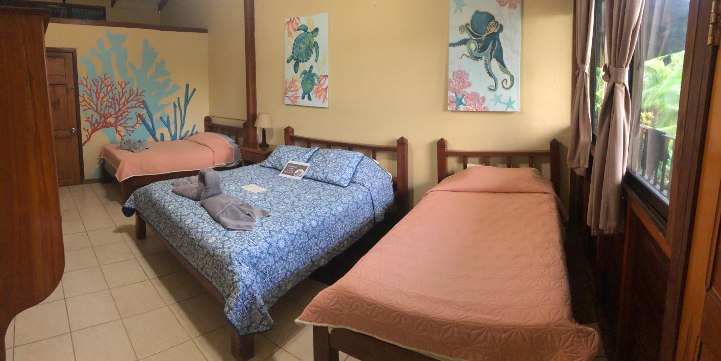 Superior Double Room photo 2
