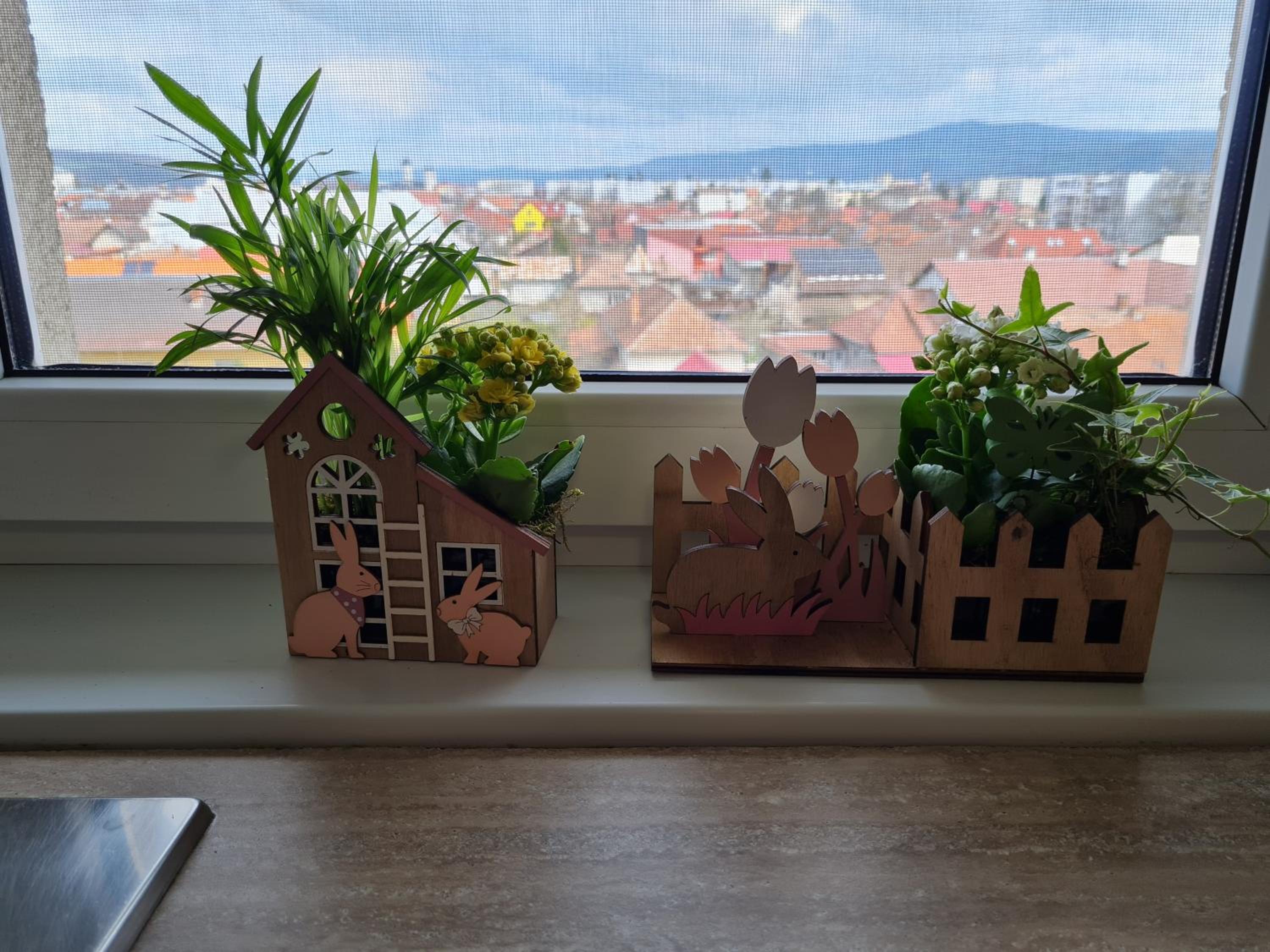 Apartment - Photo 13