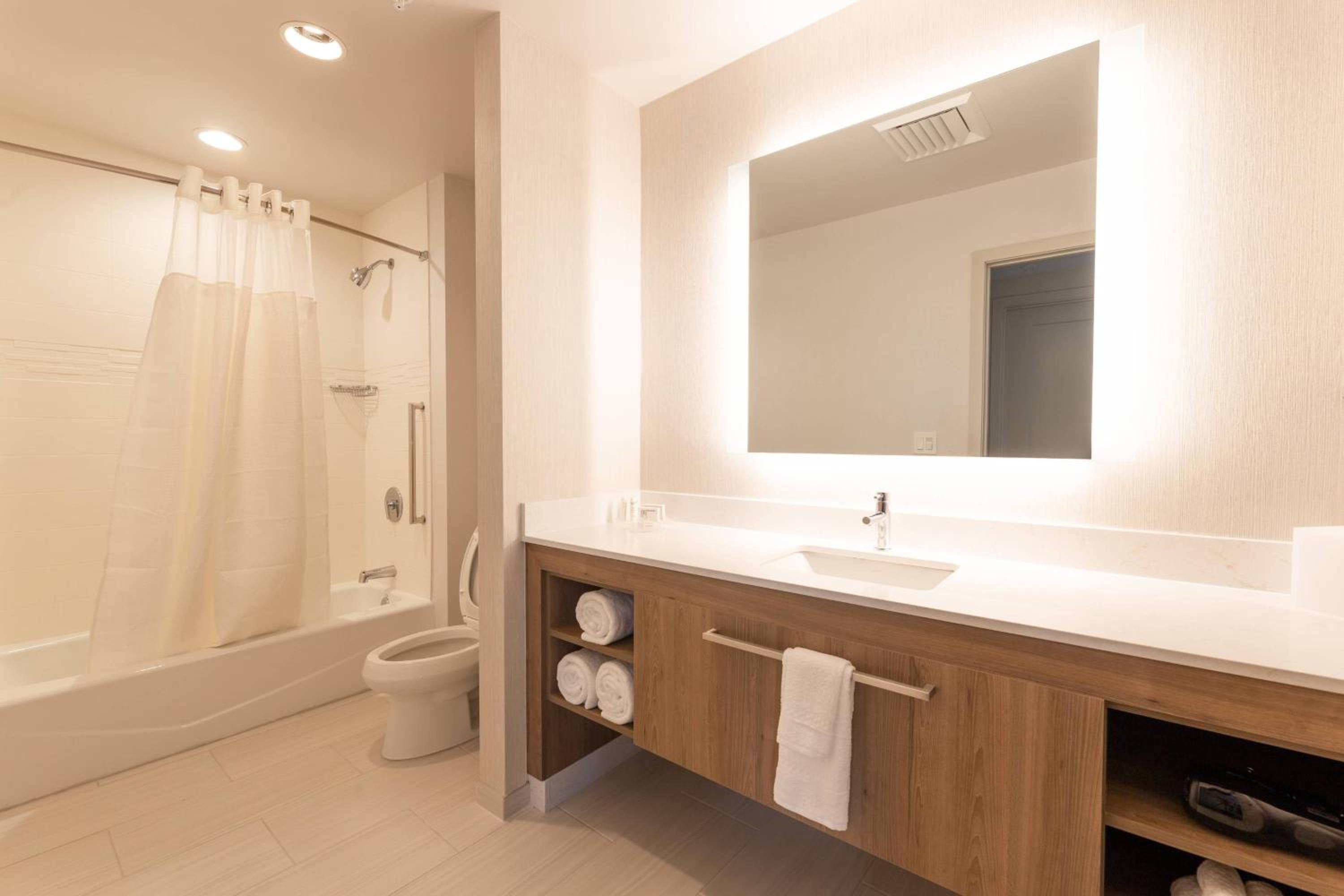 1 Bedroom Suite, 1 King - Photo 4