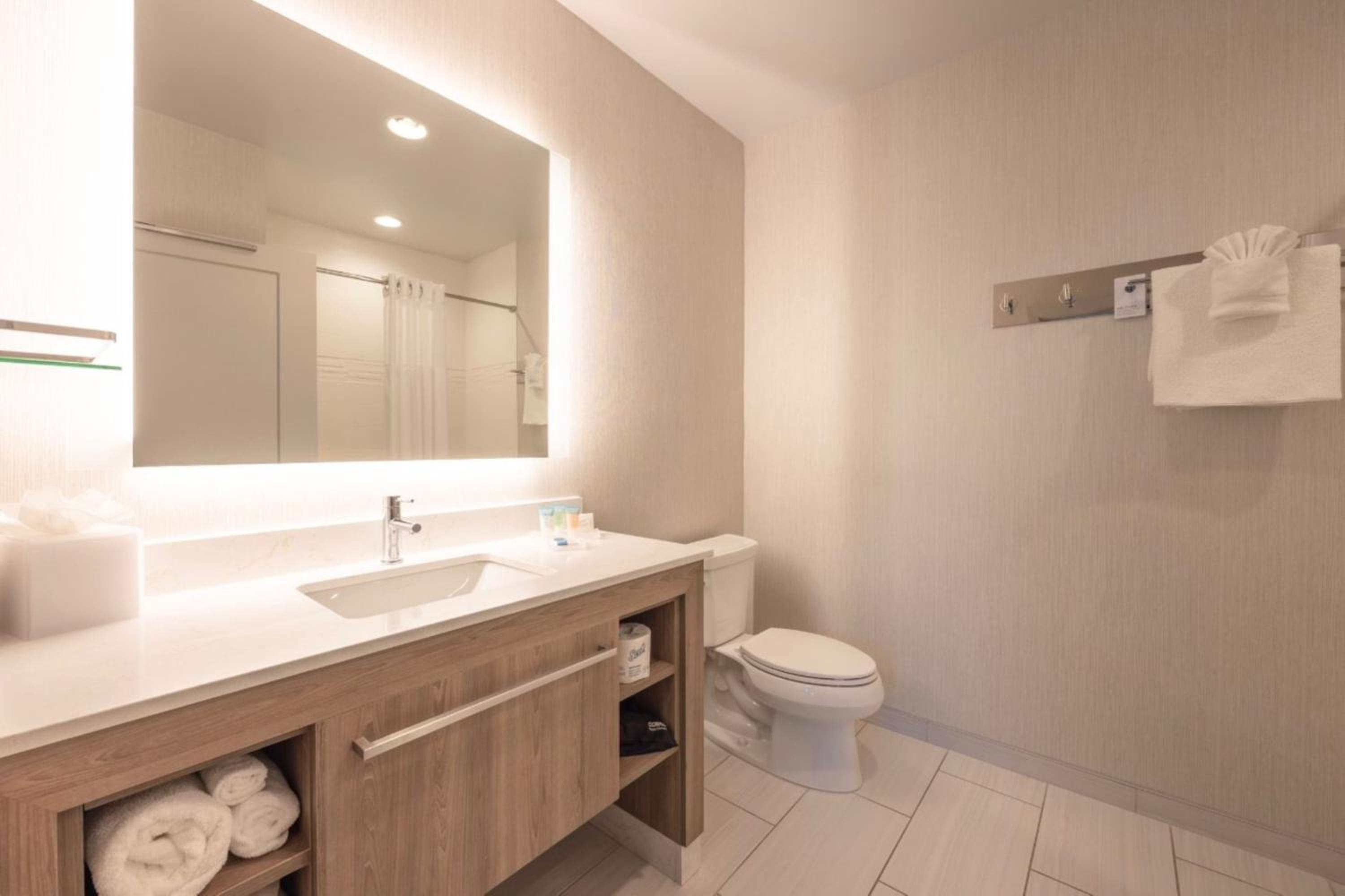 1 Bedroom Suite, 1 King - Photo 5