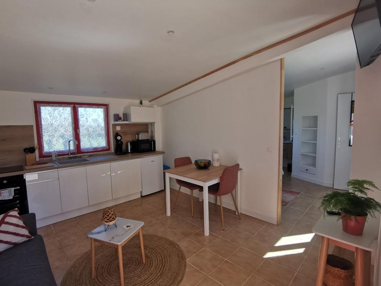 Studio with Terrace photo 2