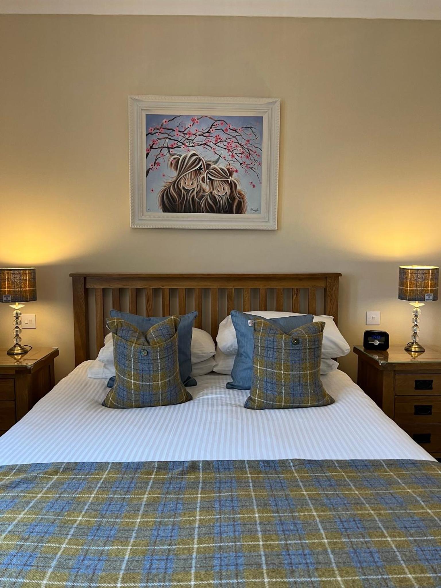 Superior Double Room photo 2