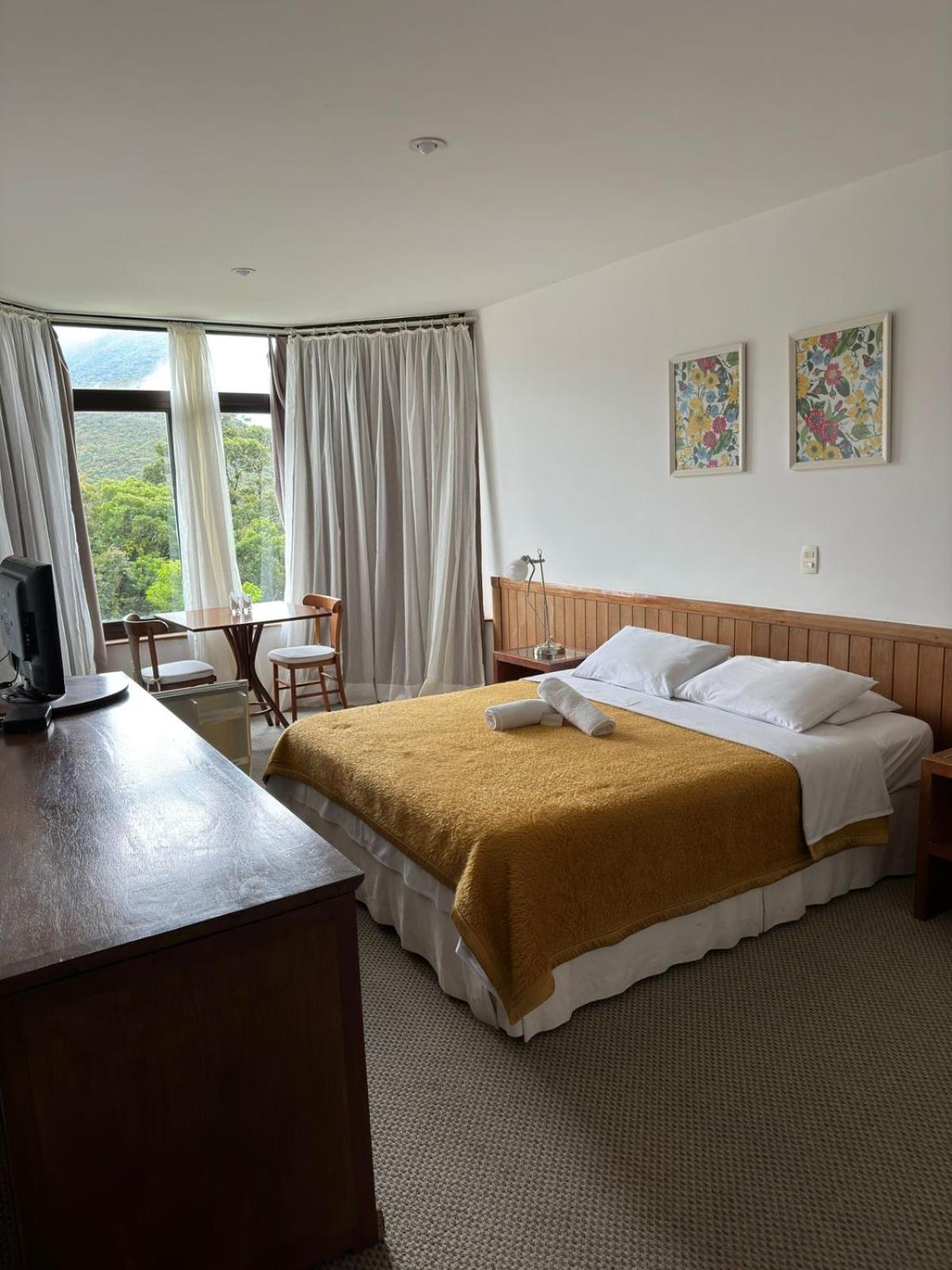 Superior Suite photo 1