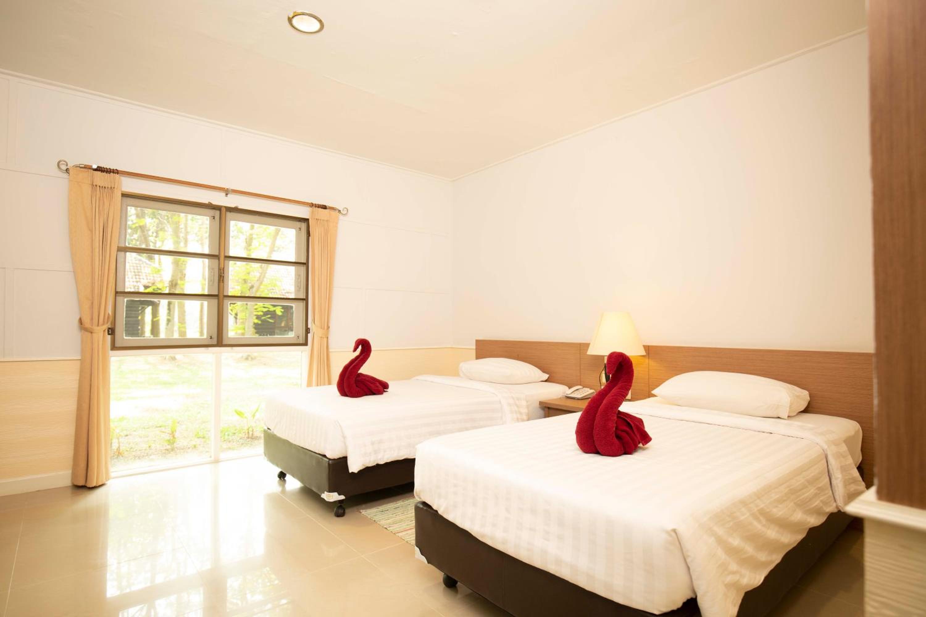 Deluxe Twin Room - Photo 4