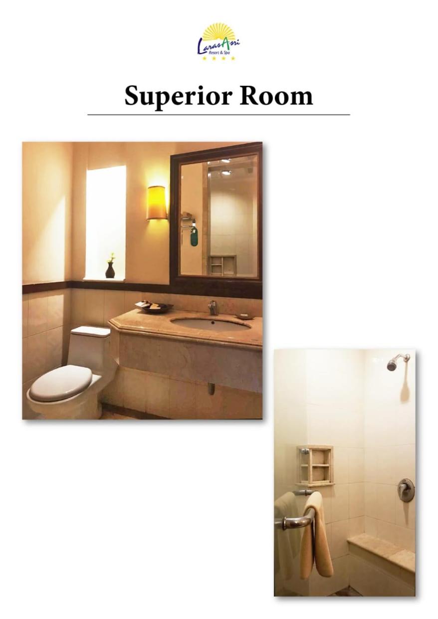 Superior Queen Room photo 3