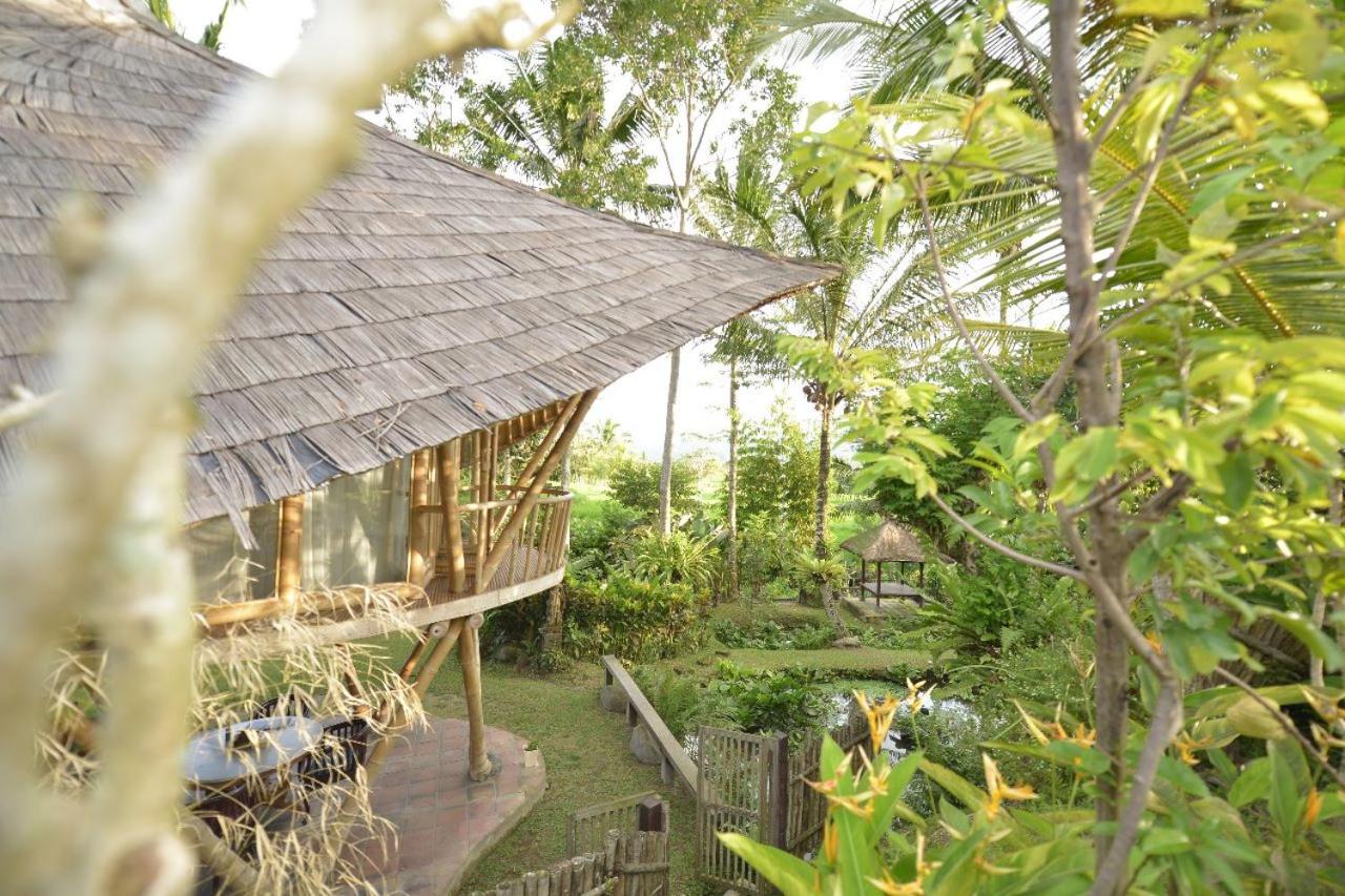 Villa with Garden View - Photo 32