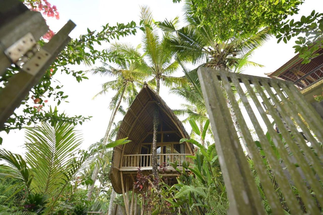 Villa with Garden View - Photo 44