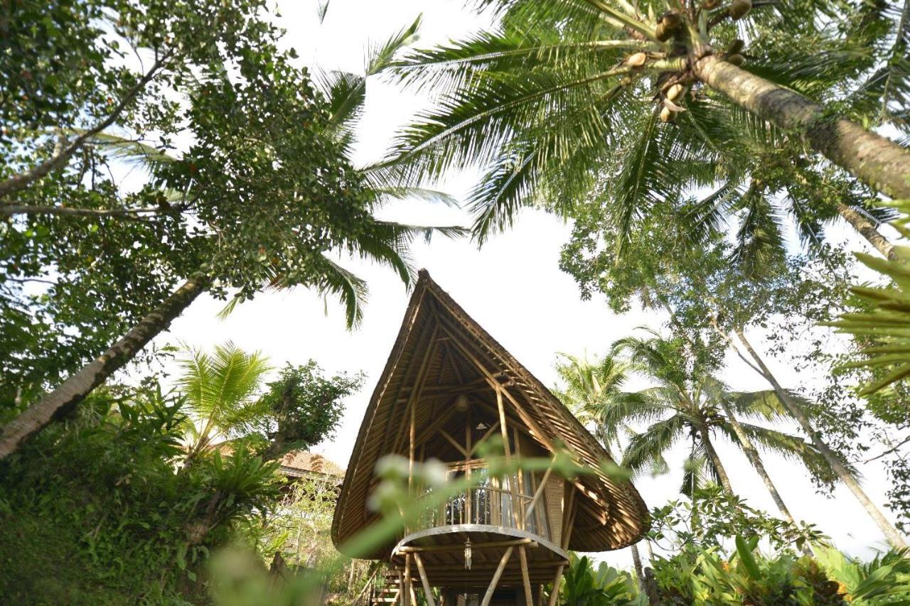 Villa with Garden View - Photo 23