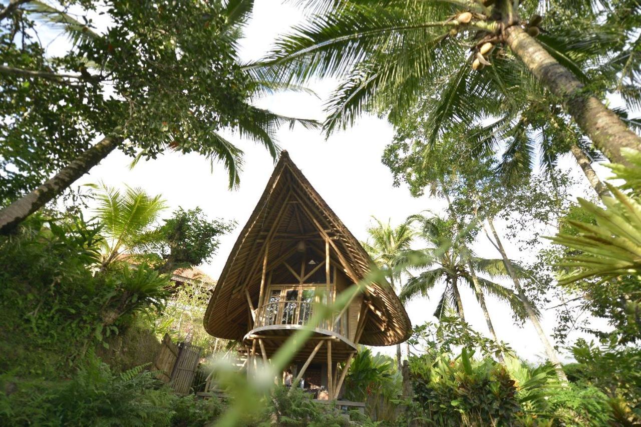 Villa with Garden View - Photo 45