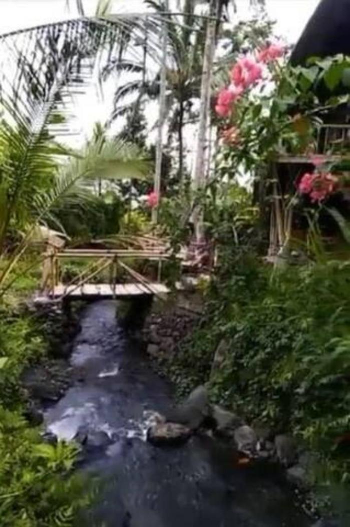 Villa with Garden View - Photo 16