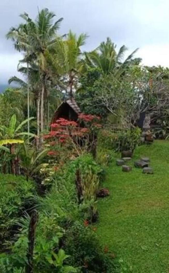 Villa with Garden View - Photo 17