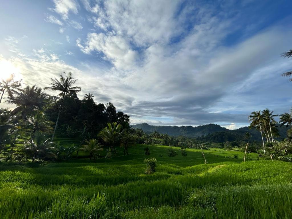 Standard Villa - Photo 11
