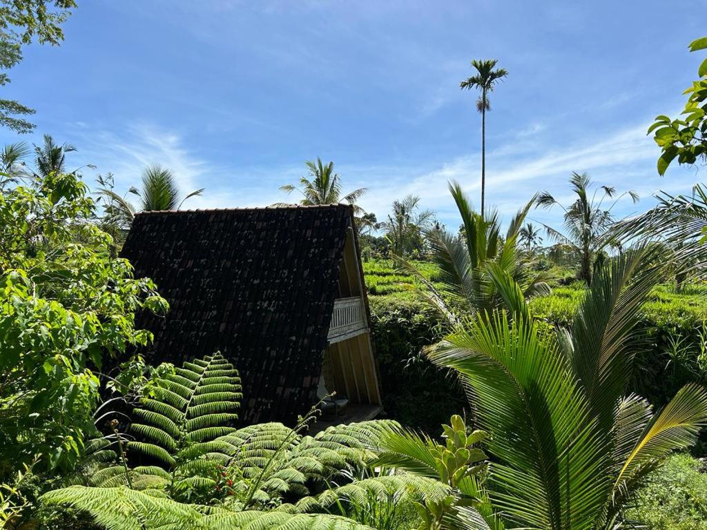 Standard Villa - Photo 2