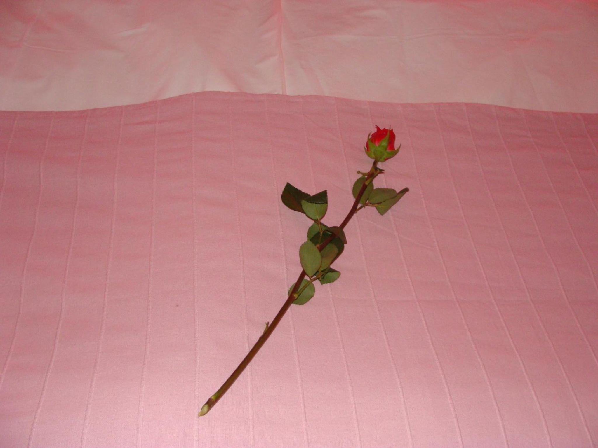 Double Room - Photo 17