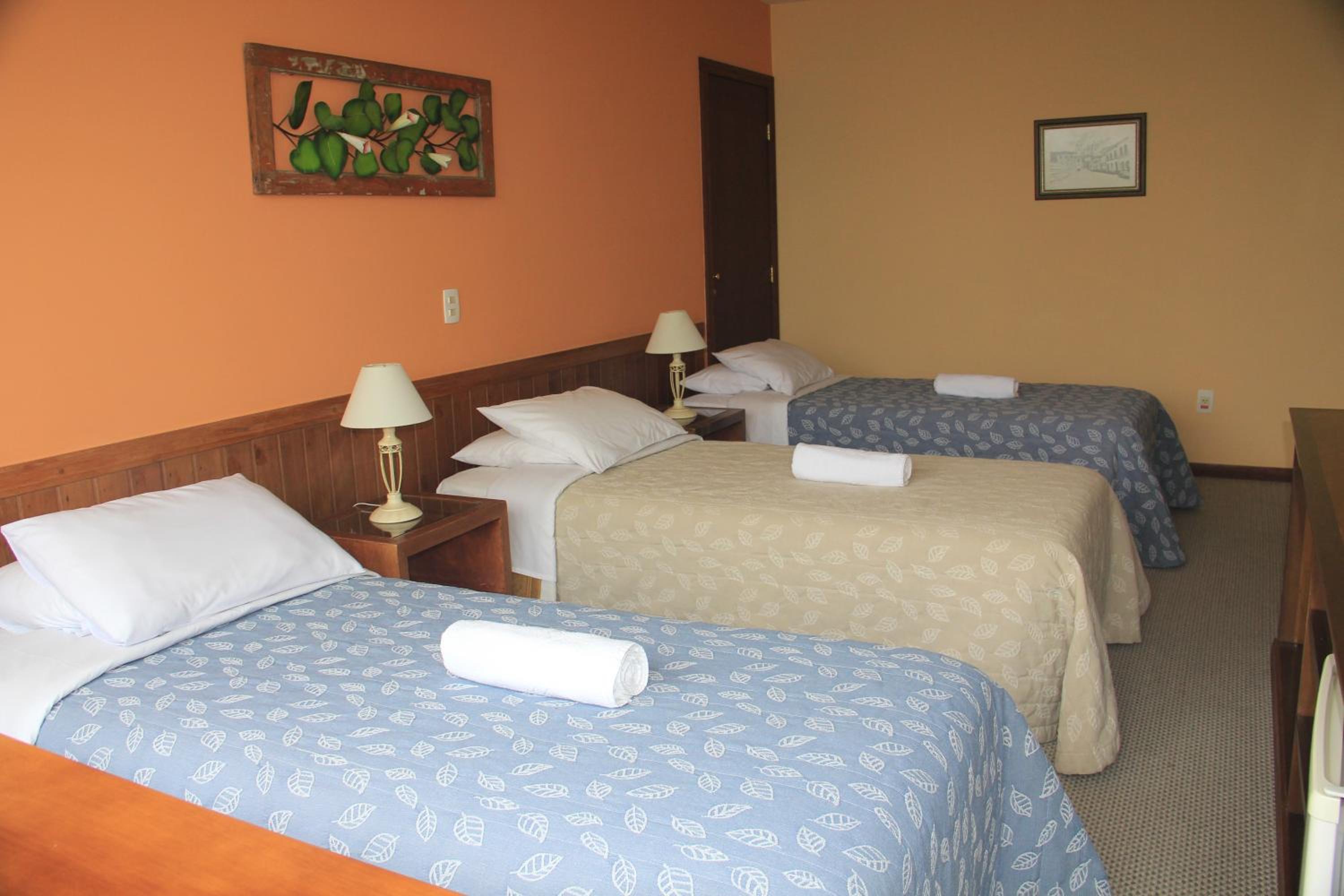 Superior Suite photo 1